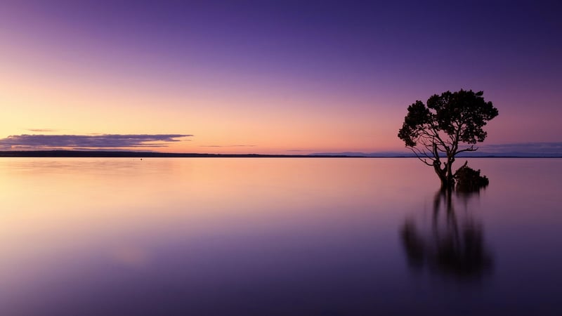 Sunset Wedding